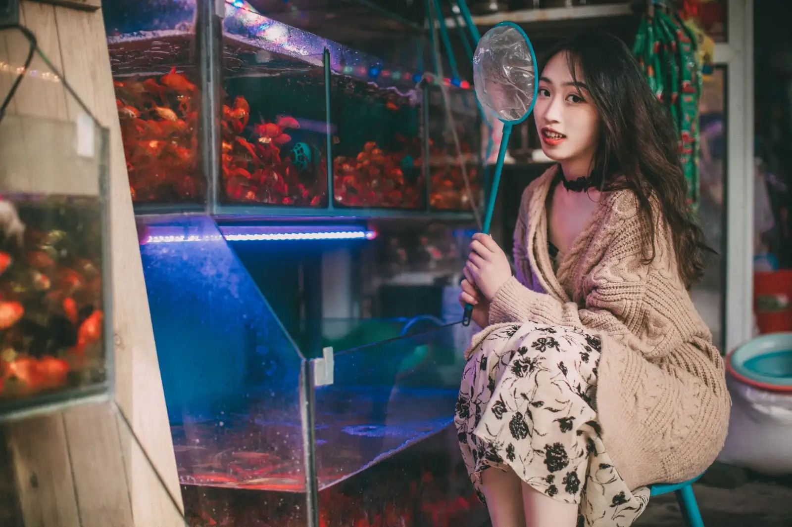 水族养殖设备选购指南:太原市场鱼缸过滤器与加热棒搭配方案正文配图 1