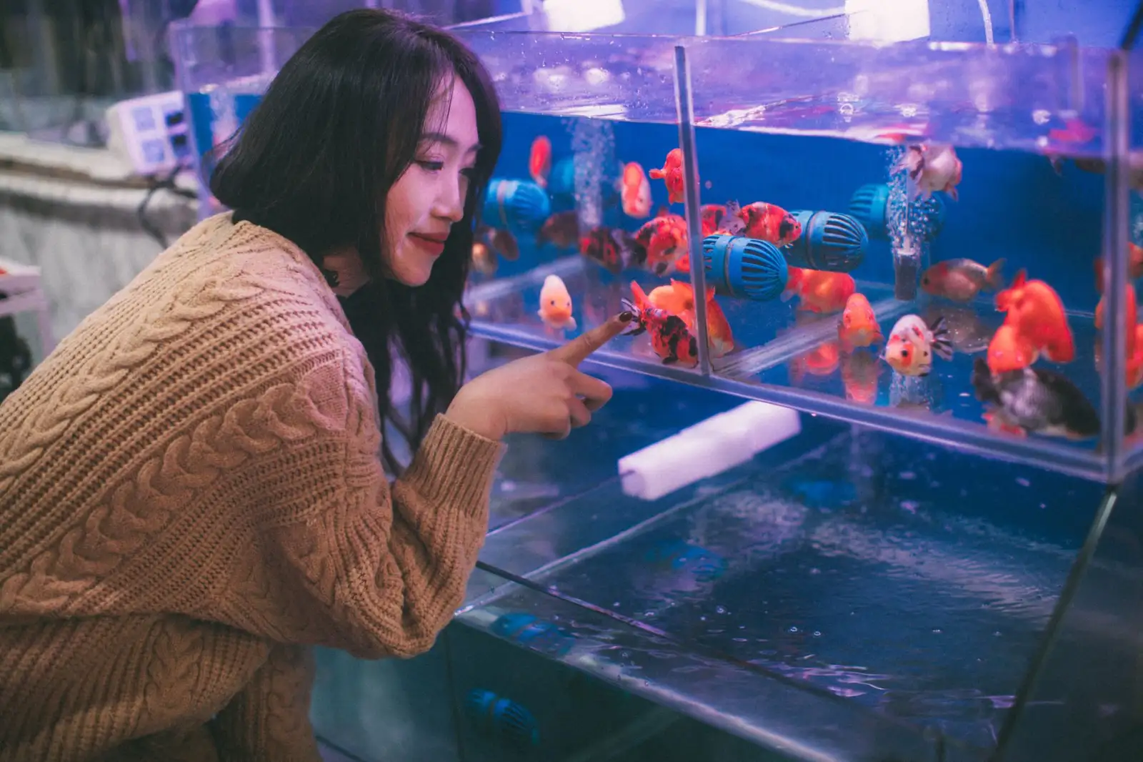 山西地区水族店设备采购指南:鱼缸灯与过滤器配置方案正文配图 1