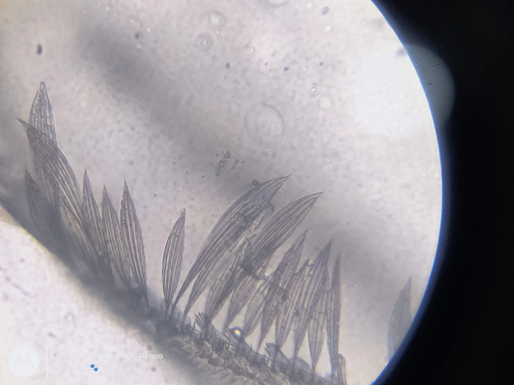 山西水族店经营设备选型指南:鱼缸灯及过滤器配置方案详解