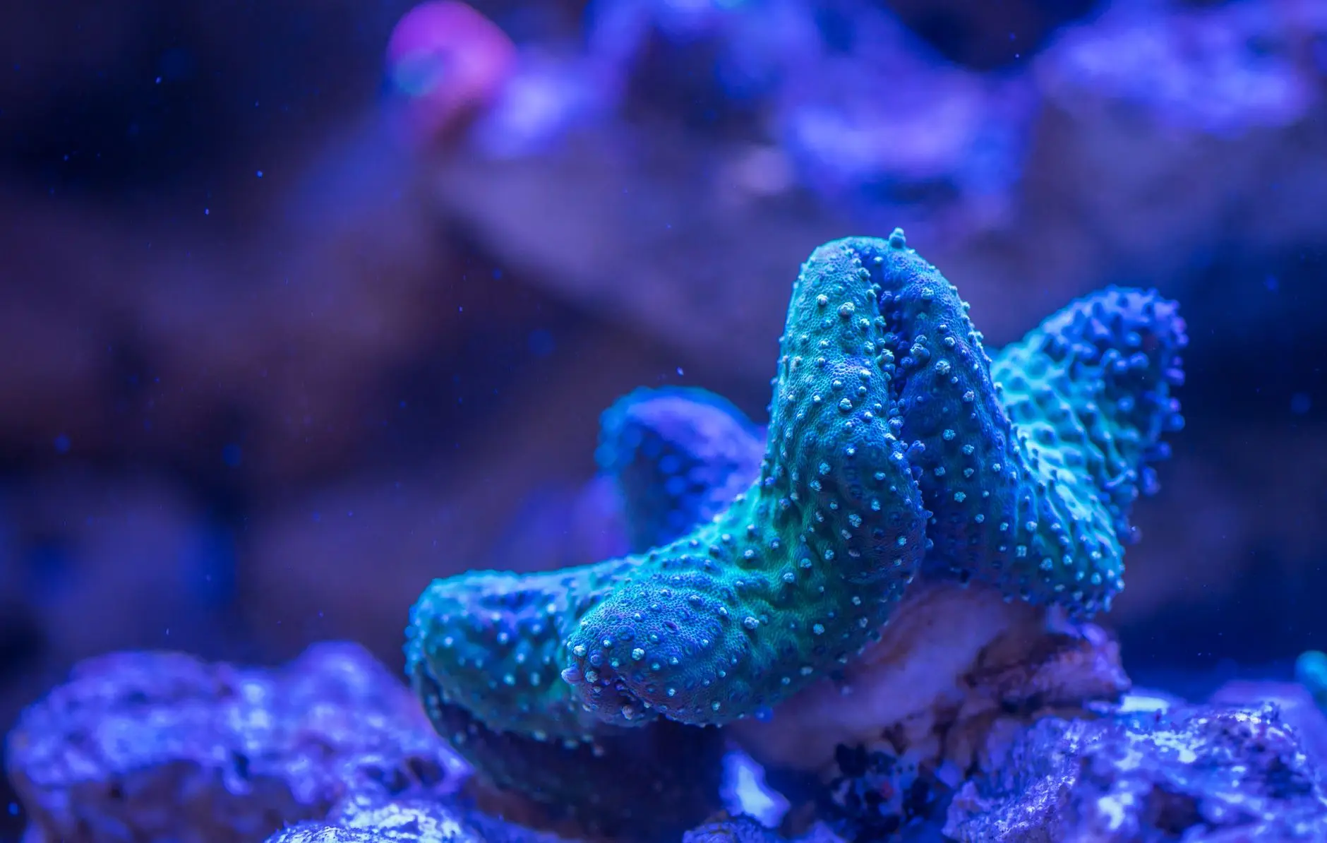 太原众顾商贸水族箱过滤器型号参数对比与适用场景分析正文配图 1