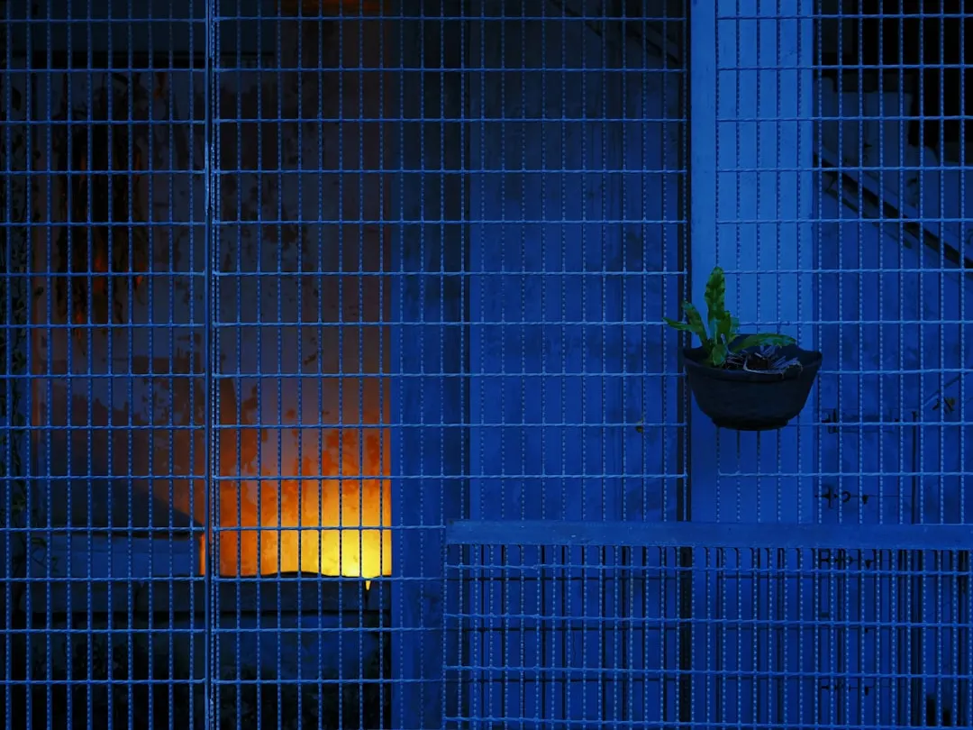 太原水族箱选购指南:从玻璃材质到过滤系统的配置要点正文配图 2