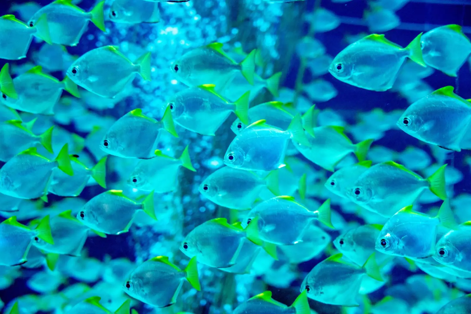 太原众顾商贸水族箱过滤器选型指南:流量与扬程匹配要点正文配图 1