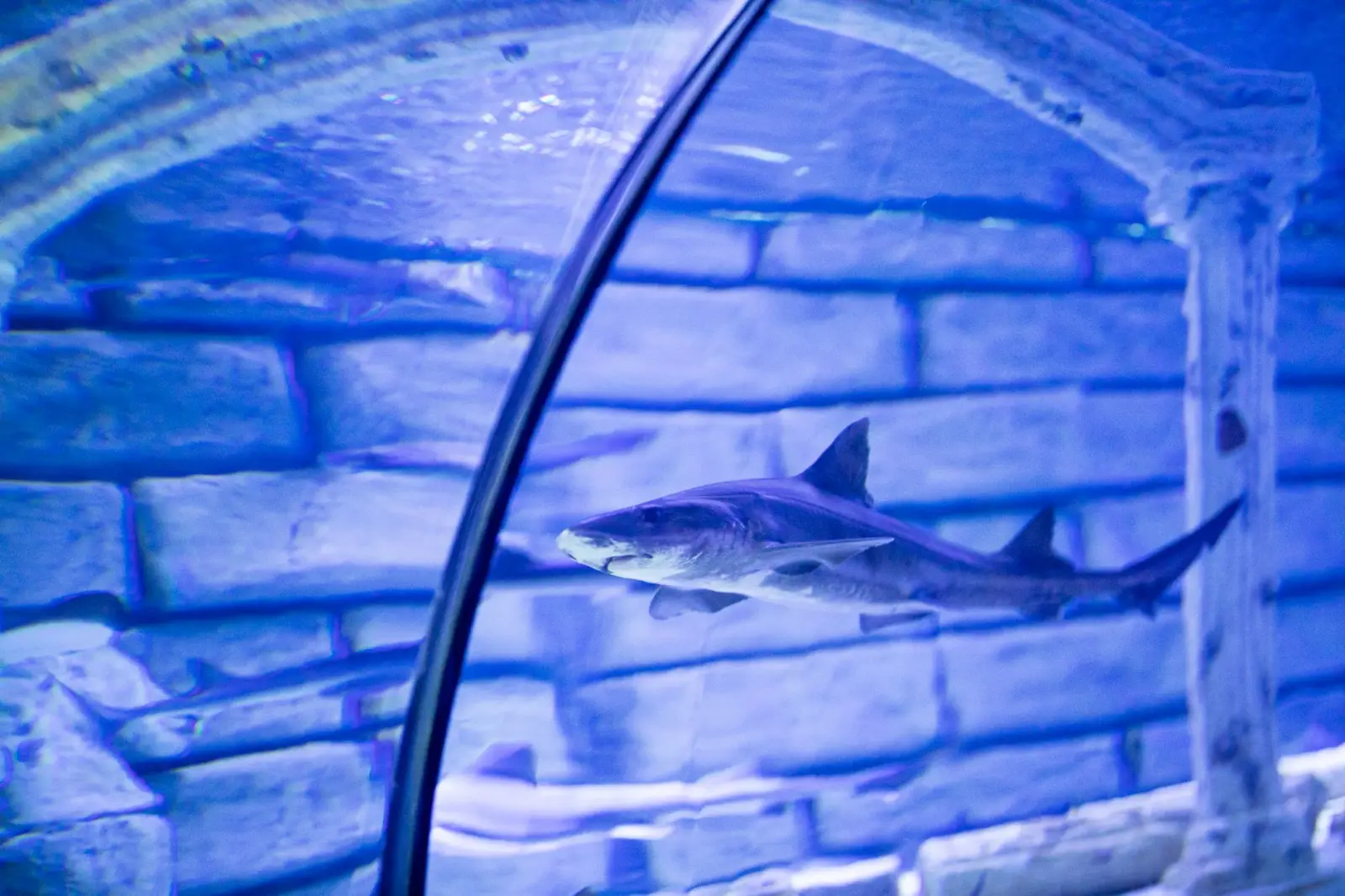 太原水族箱选购指南:从玻璃材质到过滤系统的配置要点正文配图 1